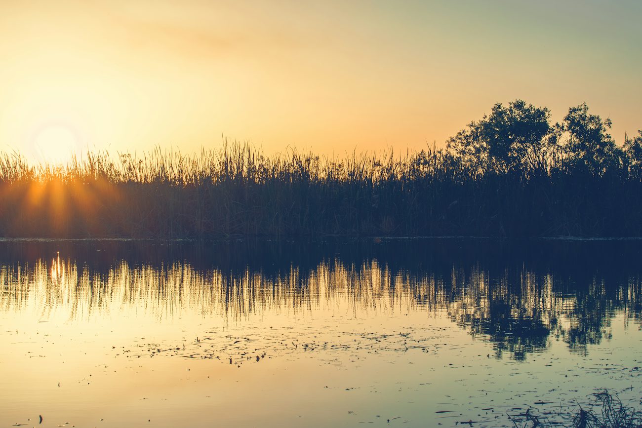 Everglades wetland reflecting a golden sunset